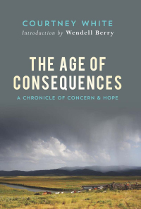 Cover image: The Age of Consequences 9781619024540