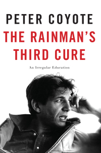 Cover image: The Rainman's Third Cure 9781619024960