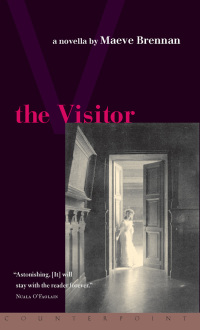 Cover image: The Visitor 9781582431611