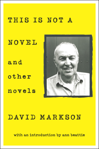 Cover image: This is Not a Novel and Other Novels 9781619027145