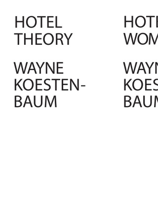 Cover image: Hotel Theory 9781933368696