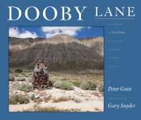 Cover image: Dooby Lane 9781619027909
