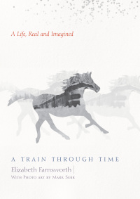 Cover image: A Train through Time 9781619028432