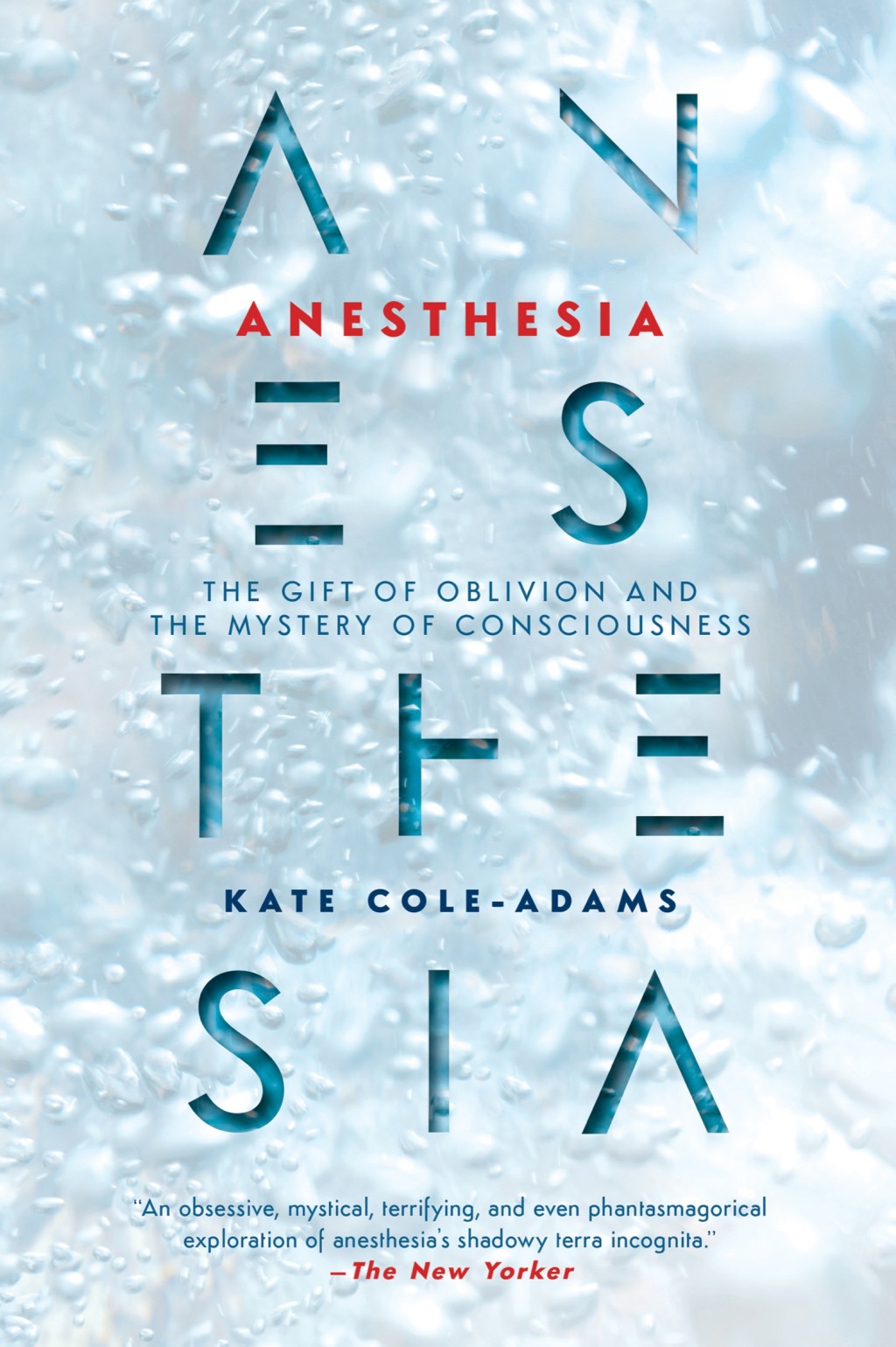 Anesthesia The Gift of Oblivion and the Mystery of Consciousness