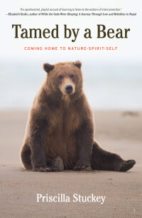 Cover image: Tamed By a Bear 9781619029552