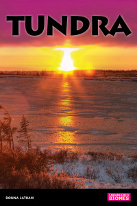 Cover image: Tundra