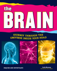 表紙画像: The Brain 9781619302785