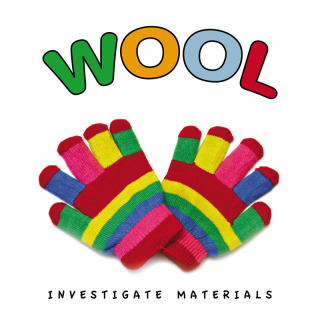 表紙画像: Wool