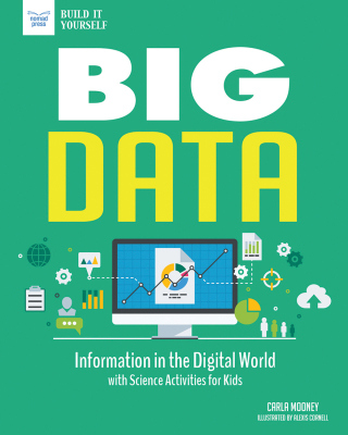 Cover image: Big Data: Information in the Digital World with Science Activities for Kids 9781619306813