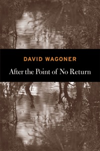 Cover image: After the Point of No Return 9781556593826