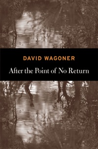 Imagen de portada: After the Point of No Return 9781556593826