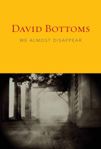 Cover image: We Almost Disappear 9781556593314