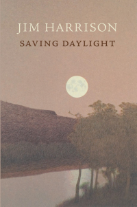 Cover image: Saving Daylight 9781556592676