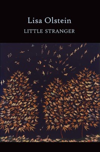 Titelbild: Little Stranger 9781556594328