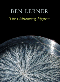 Cover image: The Lichtenberg Figures 9781556592119