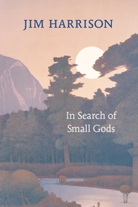 صورة الغلاف: In Search of Small Gods 9781556593000
