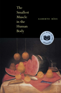 Immagine di copertina: The Smallest Muscle in the Human Body 9781556591730