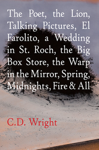 Cover image: The Poet, The Lion, Talking Pictures, El Farolito, A Wedding in St. Roch, The Big Box Store, The Warp in the Mirror, Spring, Midnights, Fire & All 9781556594854