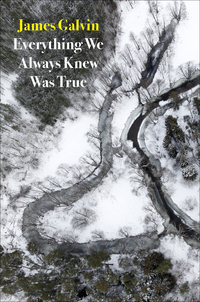 Cover image: Everything We Always Knew Was True 9781556594922
