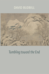 Imagen de portada: Tumbling Toward the End 9781556595066