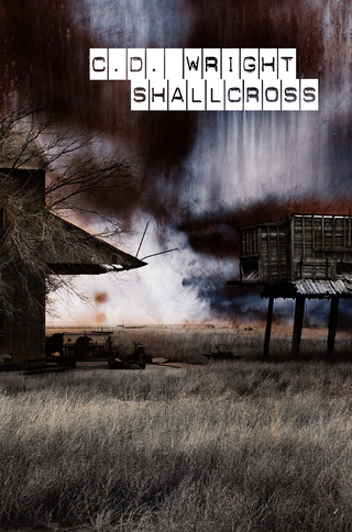 Cover image: ShallCross 9781556594960