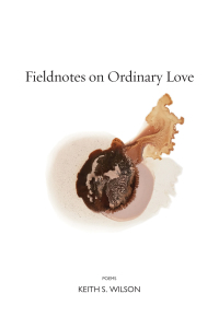 Titelbild: Fieldnotes on Ordinary Love 9781556595615