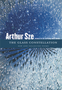 Cover image: The Glass Constellation 9781556596216
