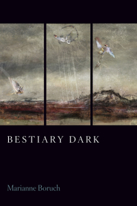 Cover image: Bestiary Dark 9781556596377