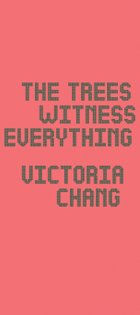 Cover image: The Trees Witness Everything 9781556596322