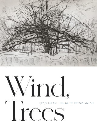 表紙画像: Wind, Trees 9781556596483