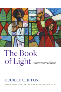 Cover image: The Book of Light 9781556596780