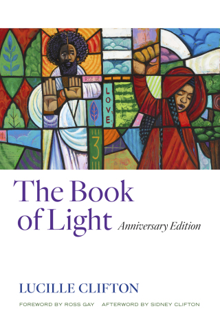 Omslagafbeelding: The Book of Light 9781556596780