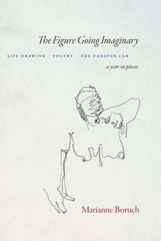 Cover image: The Figure Going Imaginary 9781556596940