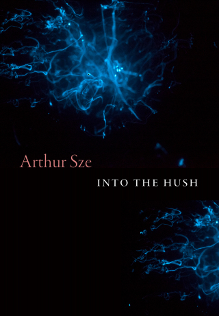 Cover image: Into the Hush 9781556597145