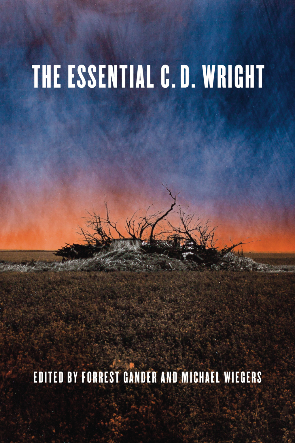 The Essential C.D. Wright (eBook)