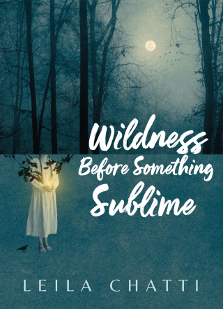 Titelbild: Wildness Before Something Sublime 9781556597169