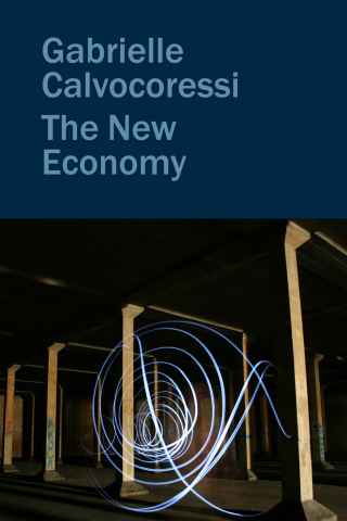 Cover image: The New Economy 9781556597213