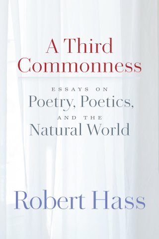 Imagen de portada: A Third Commonness 9781556597282