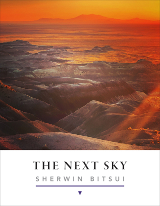 Imagen de portada: The Next Sky 9781556597336