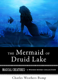 Omslagafbeelding: The Mermaid of Druid Lake 9781619400009