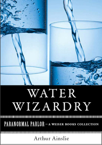 Omslagafbeelding: Water Wizardry 9781619400092