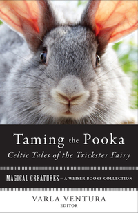 Omslagafbeelding: Taming the Pooka, Celtic Tales of the Trickster Fairy 9781619400122