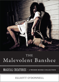 Immagine di copertina: Malevolent Banshe 9781619400375
