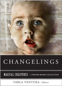 Cover image: Changelings: Or, Beware Baby Snatchers of the Fairy Kingdom 9781619400825