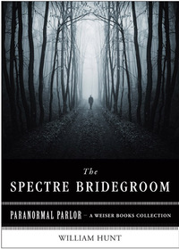 Cover image: The Spectre Bridegroom 9781619400849