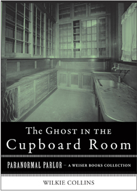 Titelbild: The Ghost in the Cupboard Room 9781619400863