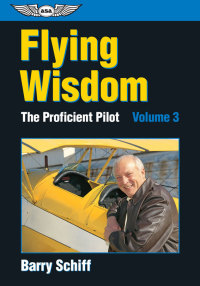 Omslagafbeelding: Flying Wisdom 9781619540040