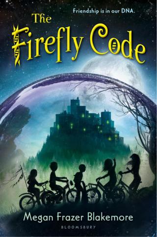 Cover image: The Firefly Code 1st edition 9781619636361
