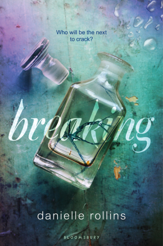 Imagen de portada: Breaking 1st edition 9781619637405