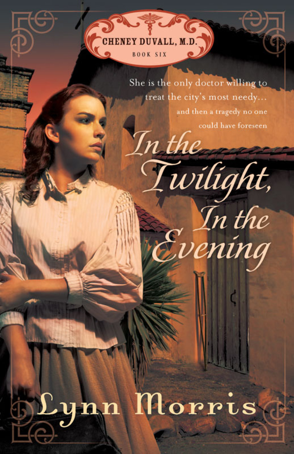 In the Twilight  in the Evening eBook